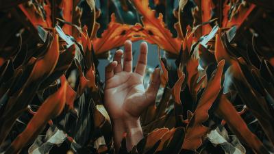 Hand palm leaves 4k wallpaper