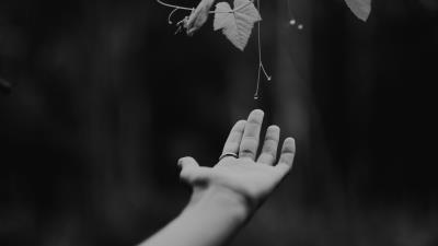 Hand plant bw 4k wallpaper