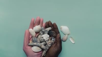 Hands shells palms 4k wallpaper