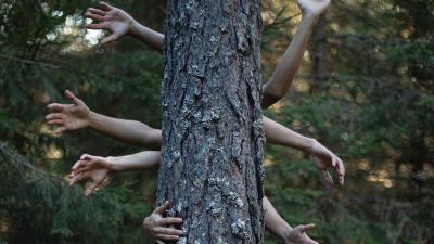 Hands tree photoshop 4k wallpaper