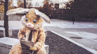 Hare costume reading 4k wallpaper