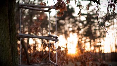 Ladder rope tree 4k wallpaper