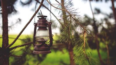 Lantern lamp branches 4k wallpaper
