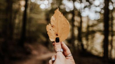 Leaf hand dry 4k wallpaper