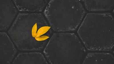Leaf yellow paving slabs 4k wallpaper