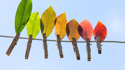 Leaves autumn clothespins 4k wallpaper
