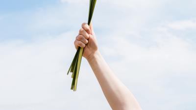 Leaves hand sky 4k wallpaper