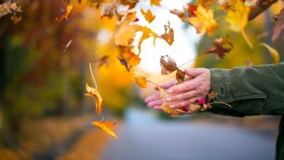 Leaves hands autumn 4k wallpaper