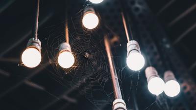 Light bulbs cobweb spider 4k wallpaper