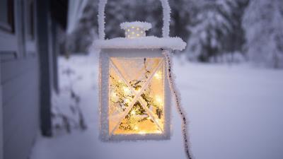 Light frost snow 4k wallpaper