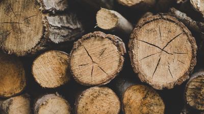 Logs firewood wood 4k wallpaper