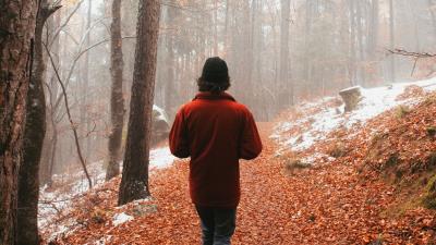 Man alone forest 4k wallpaper