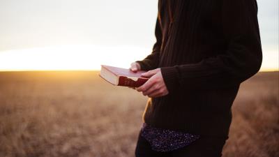 Man book bible 4k wallpaper