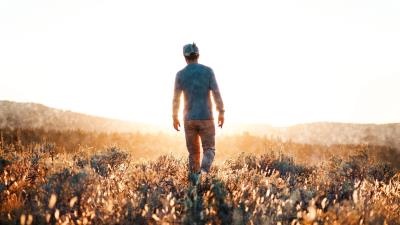 Man field sunlight 4k wallpaper