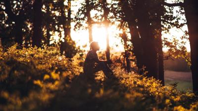 Man forest sun 4k wallpaper