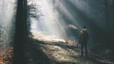 Man forest sunlight 4k wallpaper