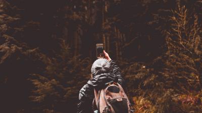 Man phone forest 4k wallpaper