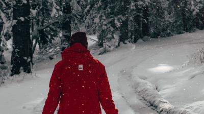 Man snow trees 4k wallpaper