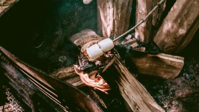 Marshmallows bonfire firewood 4k wallpaper