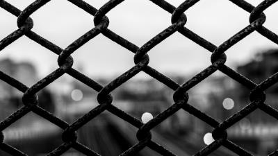 Mesh cells bw 4k wallpaper