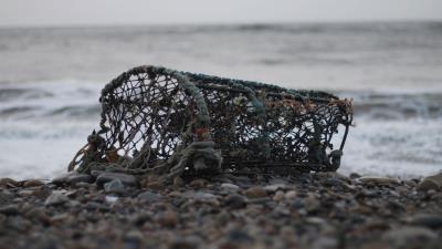 Mesh sea shore 4k wallpaper