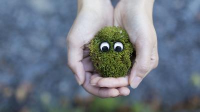 Moss hands eyes 4k wallpaper