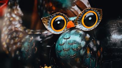 Owl bird souvenir 4k wallpaper