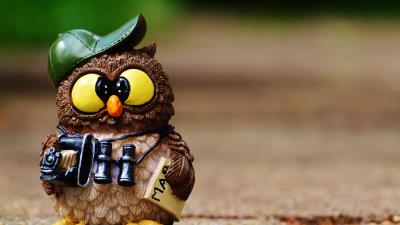 Owl figurine cap binoculars 4k wallpaper