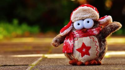 Owl toys clothing blurring 4k wallpaper