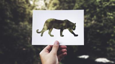 Paper predator art hand 4k wallpaper