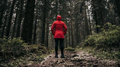 Person forest loneliness 4k wallpaper