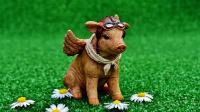 Pig pilot statuette 4k wallpaper