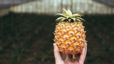 Pineapple fruit hand 4k wallpaper