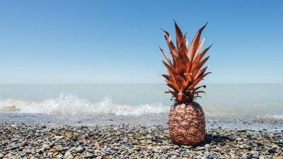 Pineapple fruit tropical 4k wallpaper