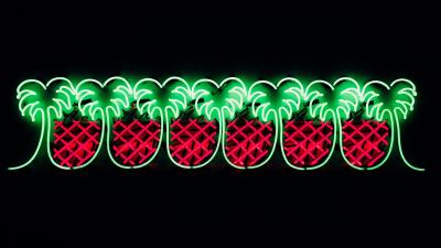 Pineapples neon light 4k wallpaper