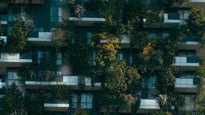 Plants building facade 4k wallpaper