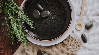 Plate stones plant 4k wallpaper