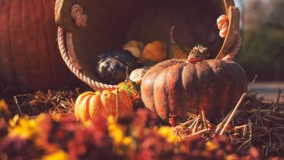 Pumpkin basket straw 4k wallpaper
