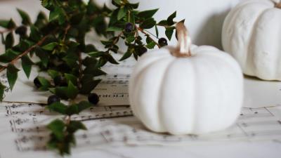 Pumpkin flowers branch 4k wallpaper