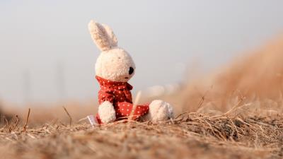 Rabbit toy plush 4k wallpaper
