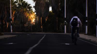 Road cyclist palm trees 4k wallpaper