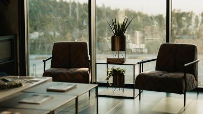 Room chairs houseplant 4k wallpaper