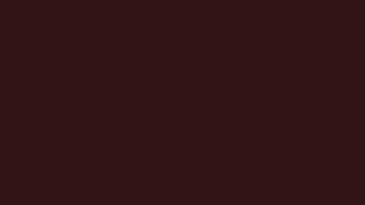 Seal brown solid color background 8k wallpaper
