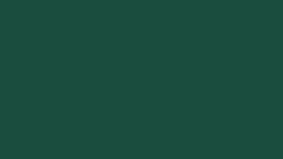 Brunswick green solid color background 8k wallpaper