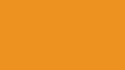 Carrot orange solid color background 8k wallpaper