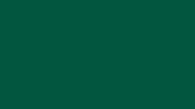 Castleton green solid color background 8k wallpaper