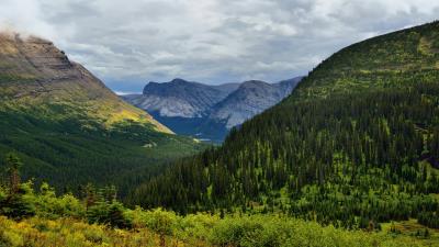 Elevation of Mount Wilbur 8k wallpaper