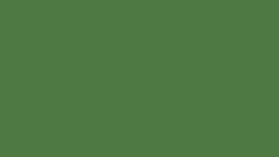 Fern green solid color background 8k wallpaper