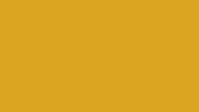 Goldenrod solid color background 8k wallpaper
