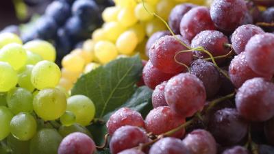 Grapes Autumn 8k wallpaper